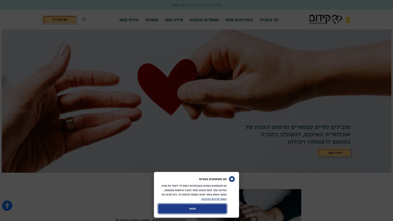 קידום פרוייקטים שיקומיים | פלטפורמת וורדפרס מתקדמת