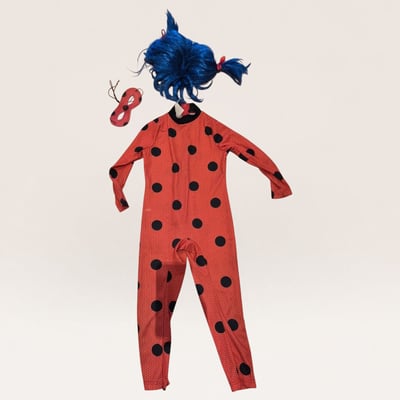 Ladybug Costume with Wig and Mask