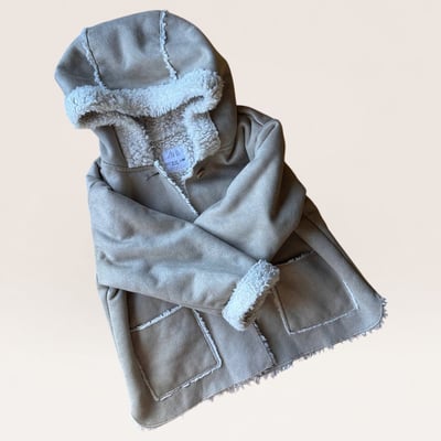 Zara Shearling-Lined Hooded Coat80