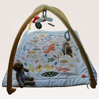 Baby Play Gym with Activity Arch and Mat