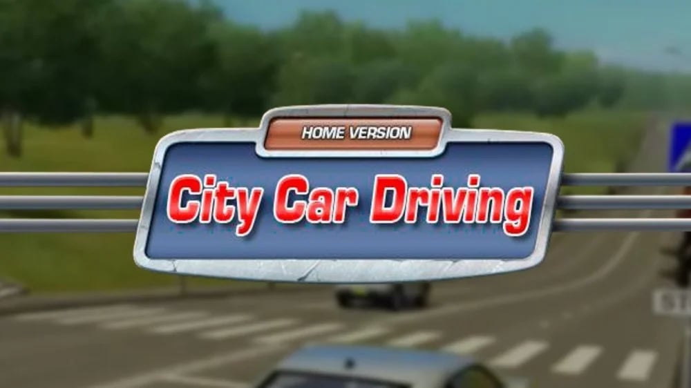 City Car Driving Review