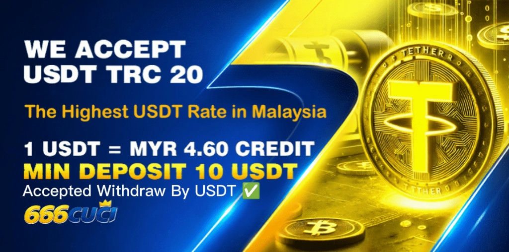 Accept USDT TRC 20 deposits.