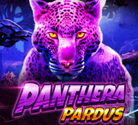 Live22 All PANTHERA PARDUS by bonus888my.com
