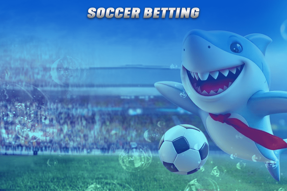 Babyshark22 Banner Soccer betting made fun. by babyshark2288.com