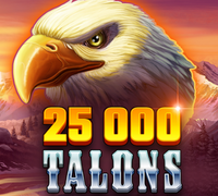 Security and licensing verification