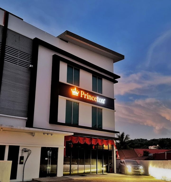 Princeton Bayan Lepas / Tint / Coating / PPF / Detailing