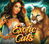 Microgaming Hot Exotic Cats by iheartchaos.com