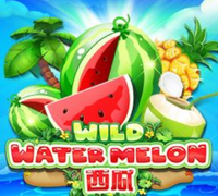 Mobile and desktop judi online platform interface comparison