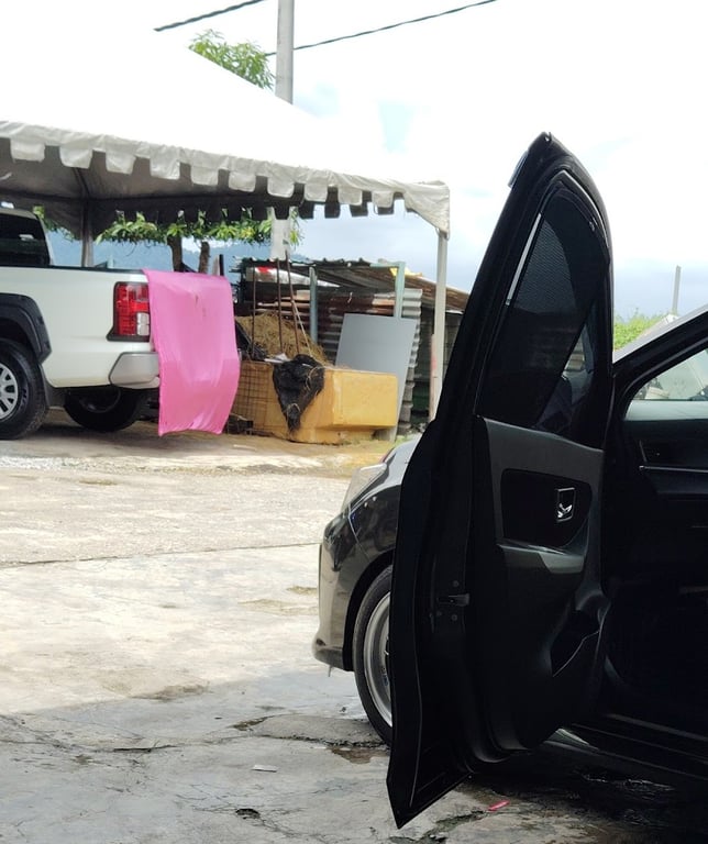 Jaana Car Wash