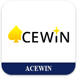 Bearbrick888 Casino Platform