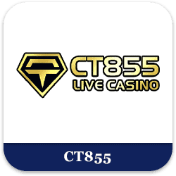 Bearbrick 888 Slot Platform Interface