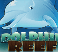 Spin88 All DOLPHIN REEF by kuatbox.org