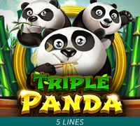 Winbox Mobile and Desktop Experience