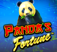 Winbox H5 Mobile Interface