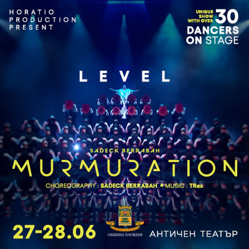 MURMURATION Level 2