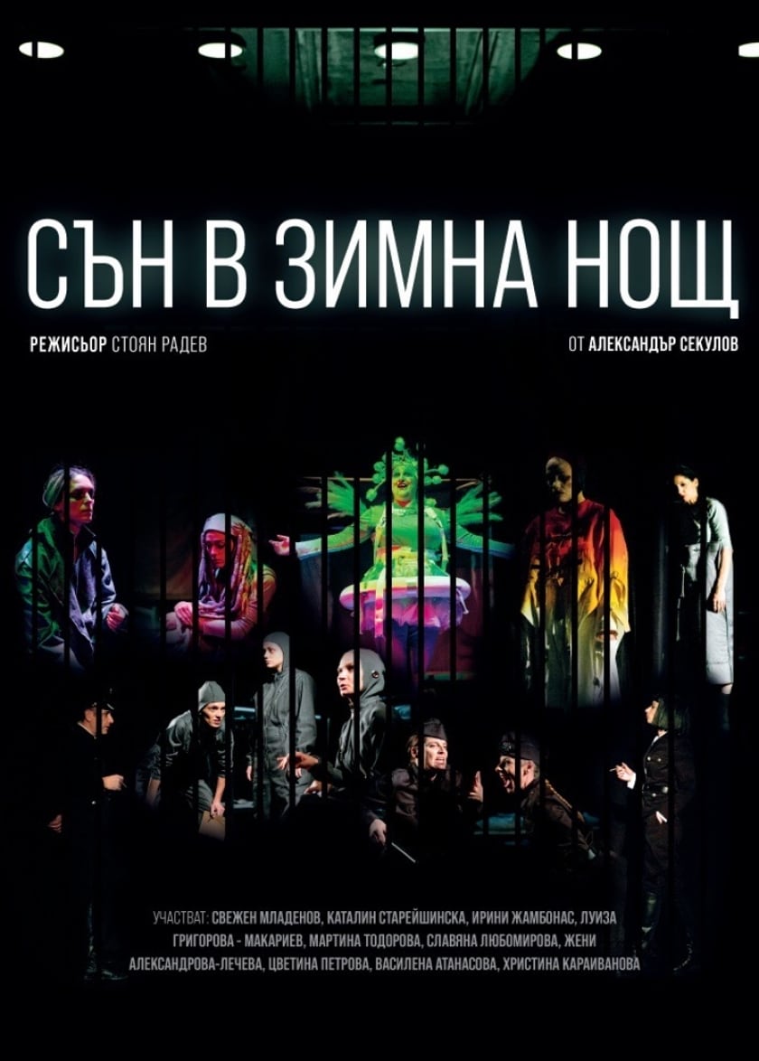 СЪН В ЗИМНА НОЩ