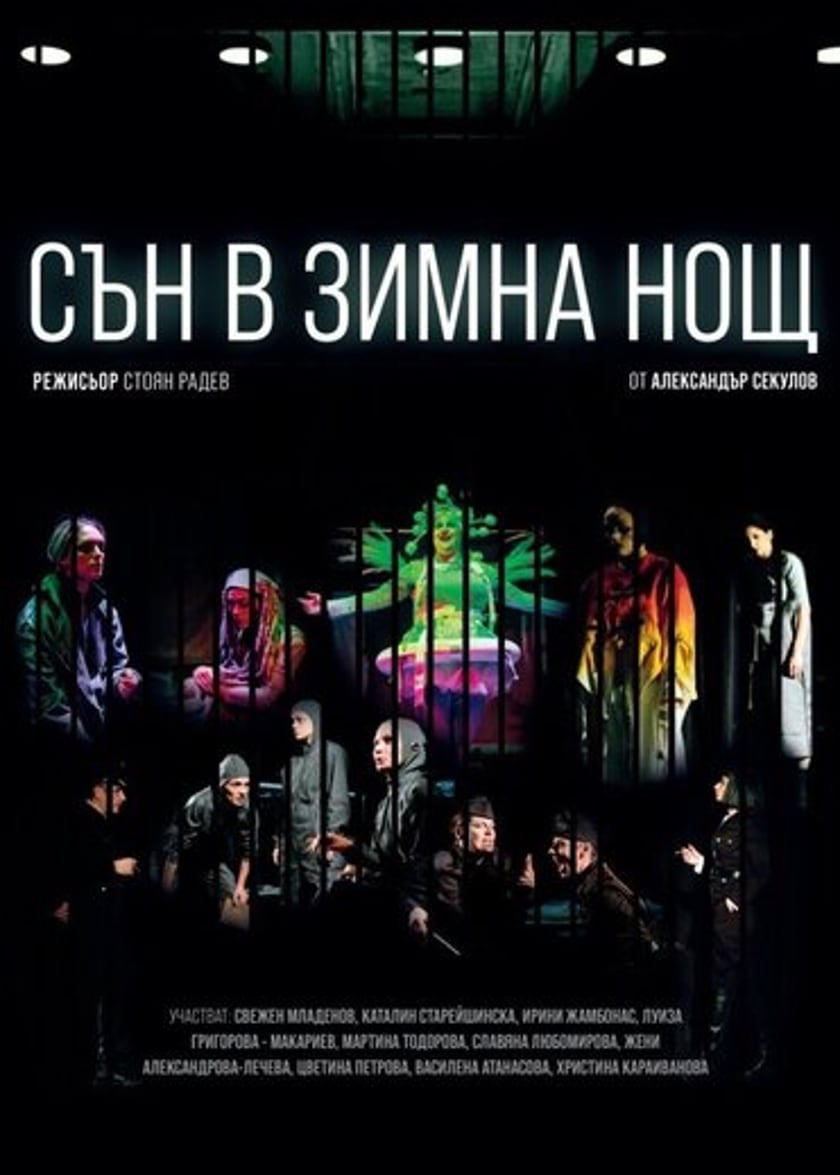 СЪН В ЗИМНА НОЩ