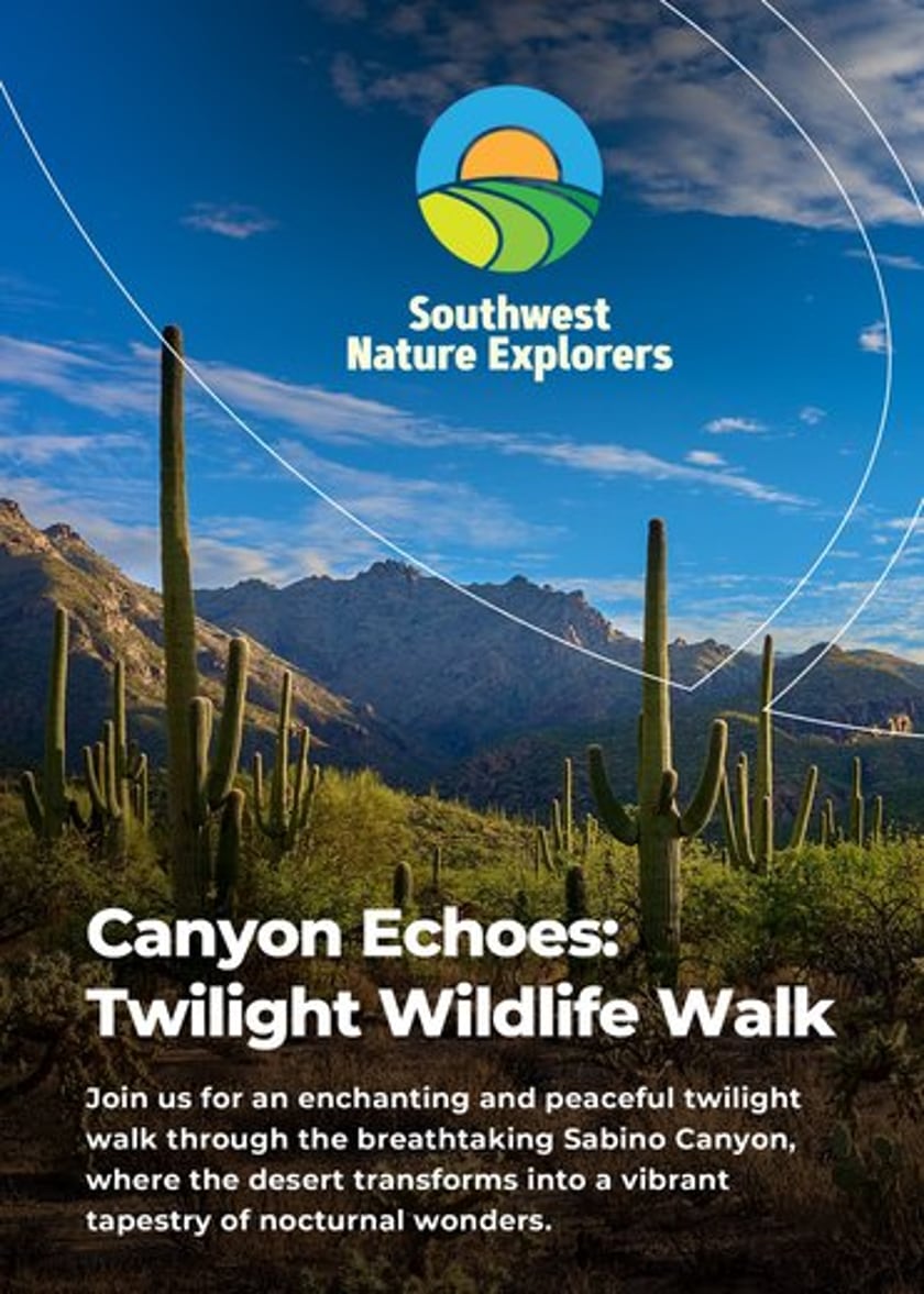 Canyon Echoes: Twilight Wildlife Walk