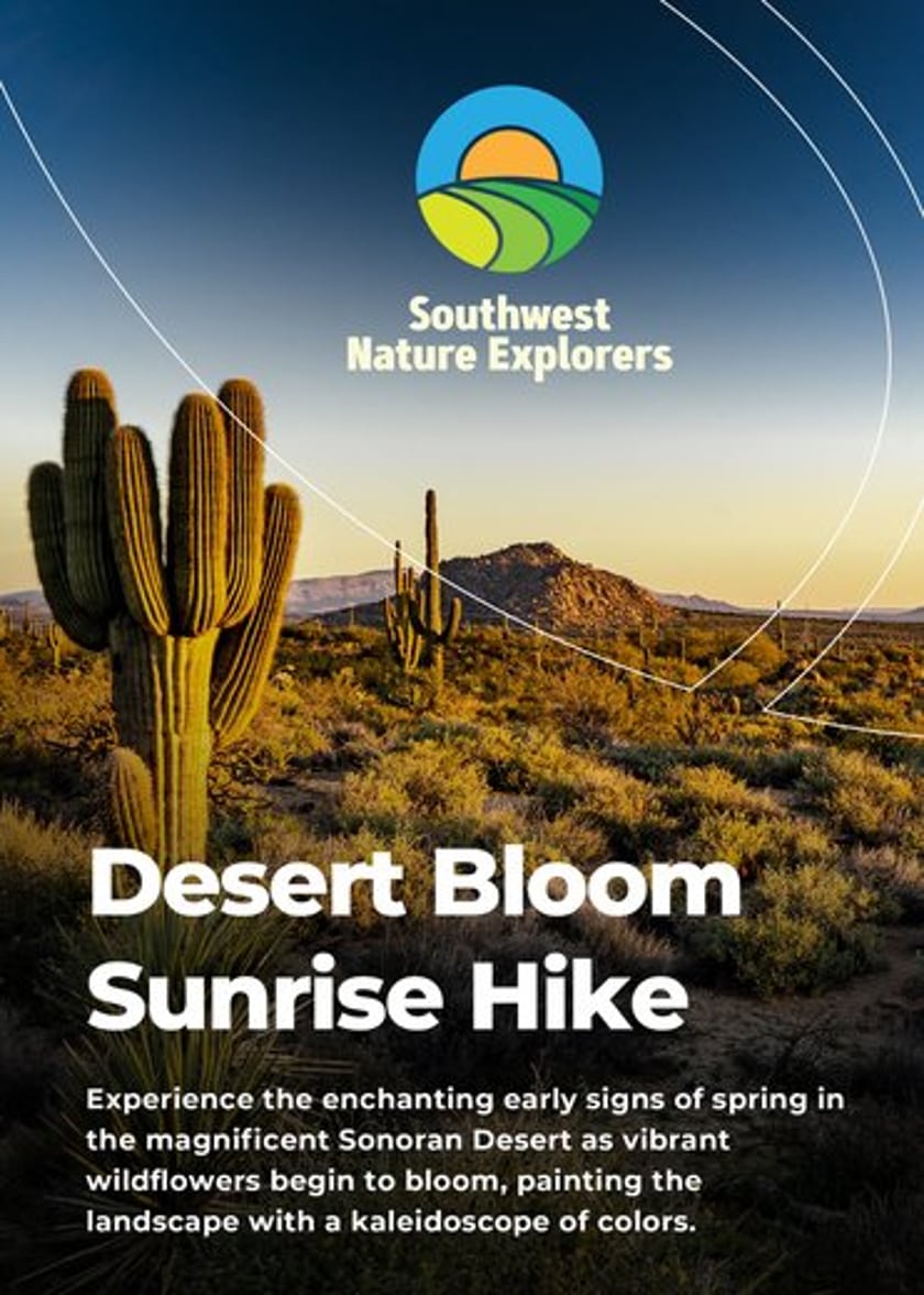 Desert Bloom Sunrise Hike