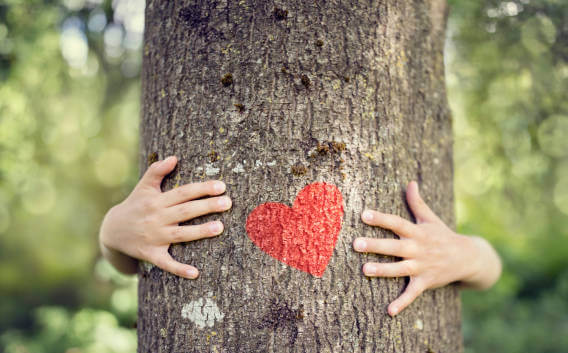 Manos abrazando un árbol con un corazón rojo pintado