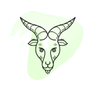 Signo Capricornio