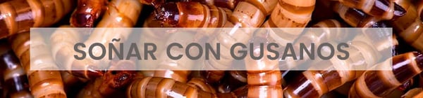 Significado de soñar con gusanos