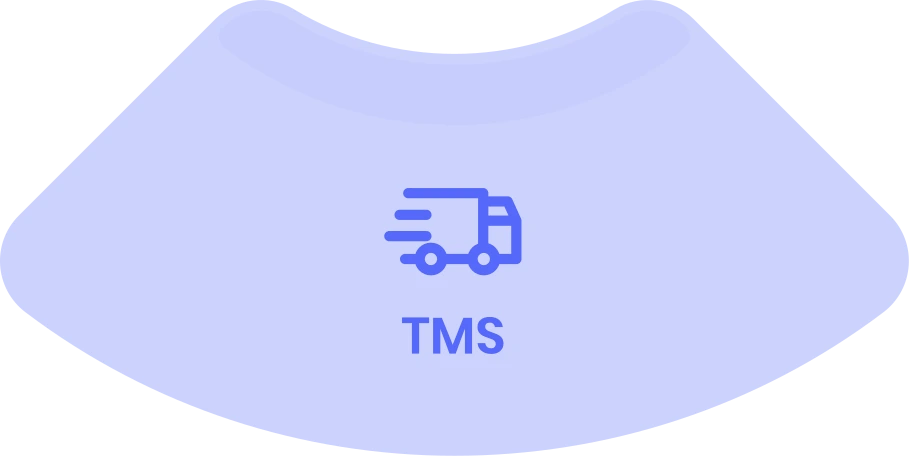 TMS