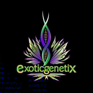 Stimmy's Choice Random 3ct Bonus Pack