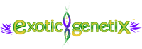 Exotic Genetix