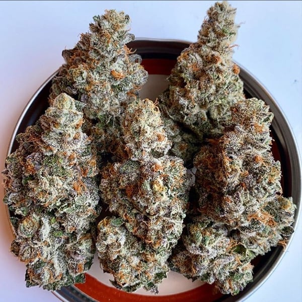 Porn Picture