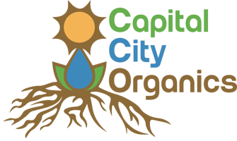 RESIZED CCO-Official-Logo-Vector-EDITED.PNG