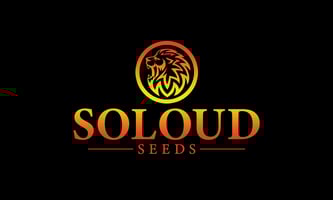 SOLOUD_SEEDS_Logo_02_01