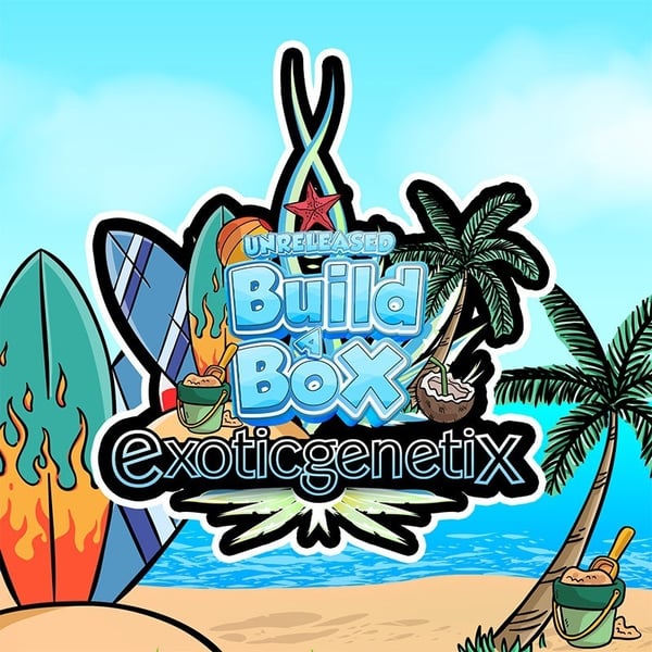 Summer Unreleased Build A Box – Exotic Genetix