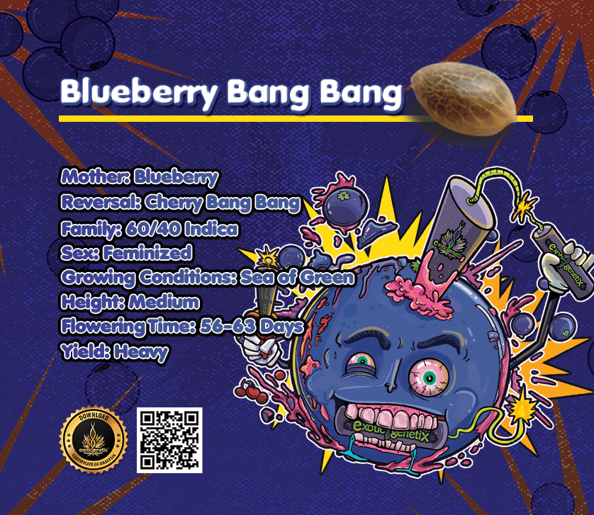 Health Foods BANG BANG BANG ビューティースティッ… Blueberry Bang Bang – Exotic Genetix