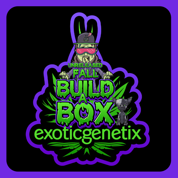 Fall Unreleased Build A Box – Exotic Genetix