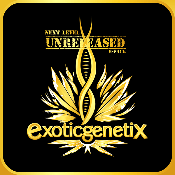 Next Level Unreleased 6-Pack – Exotic Genetix