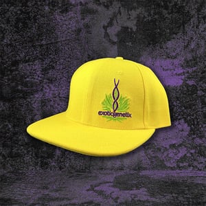 Yellow Snapback