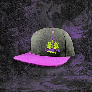 Purple & Black Snapback
