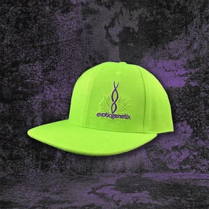 Neon Green Snapback