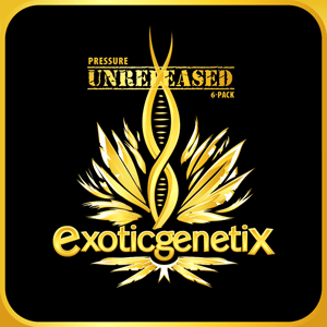 Pressure Unreleased 6 Pack