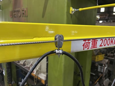 5T Rail Jib Crane with Black Bear 250 kg Electric Hoist - ảnh 13