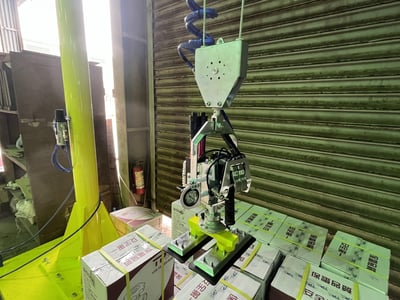 Pneumatic Jib Crane with Vacuum Lifting Pad for Carton Boxes - ảnh 3