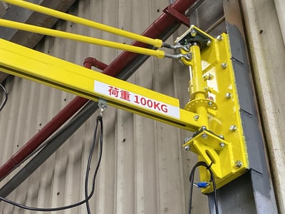 Suspended Jib Crane with Electric Hoist and Plastic Tray Hook - ảnh 19