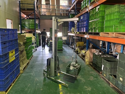 Goodlifta Electric Walkie Lifter for Warehouses - ảnh 10