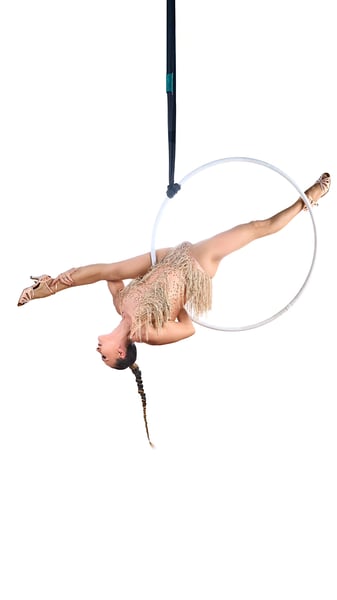 Lollipop Lyra 1 Hour with Aerial Bartending Included - Gallery image