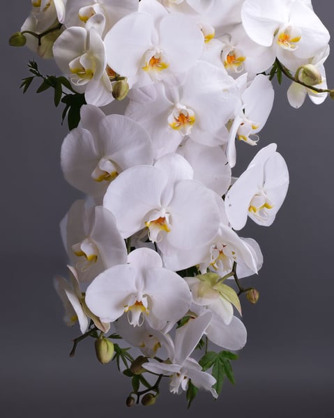 Modern Wedding and Event Florist, Ceremony Flowers and Bouquets - Gallery image