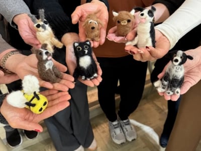 Needle-Felting Workshop, Travels to You