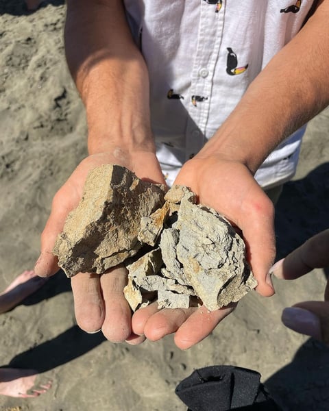Wild Clay Foraging Beach Workshop: Hike, Gather and Sculpt - Gallery image