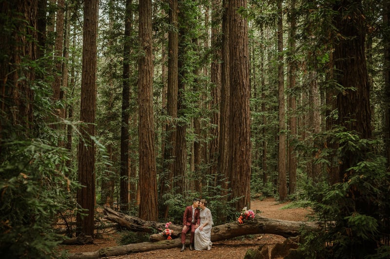 Full Day Wedding Photography Eight-Hour Bay Area Vivian Chen - Gallery image