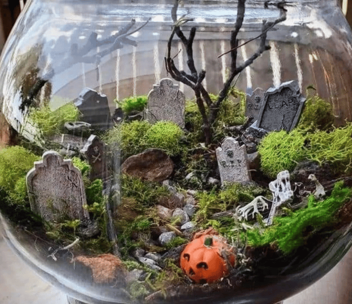 Spooky Halloween Terrarium Class - Gallery image